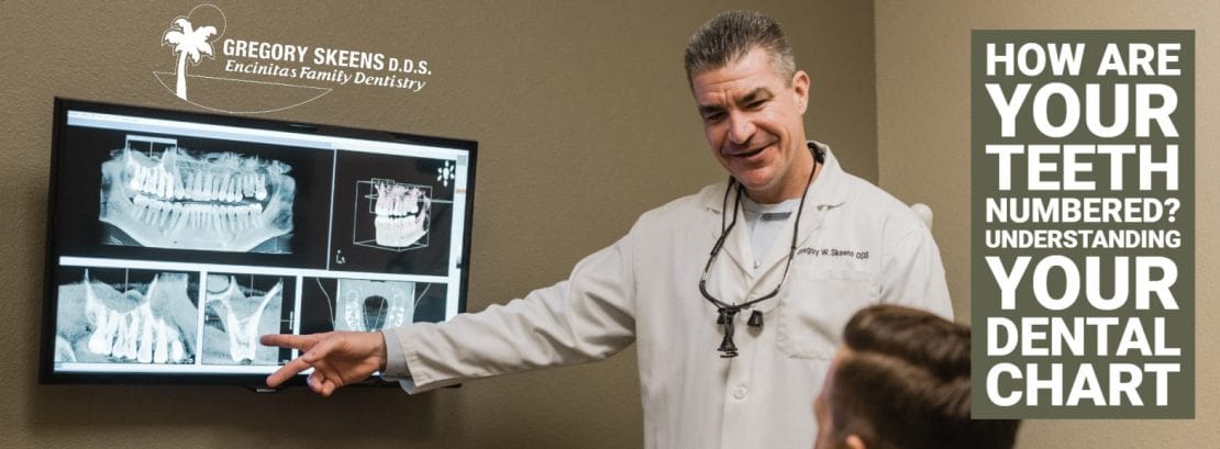 Dr. Skeens showing patient tooth numbers